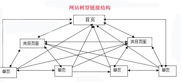 网络树形连接结构